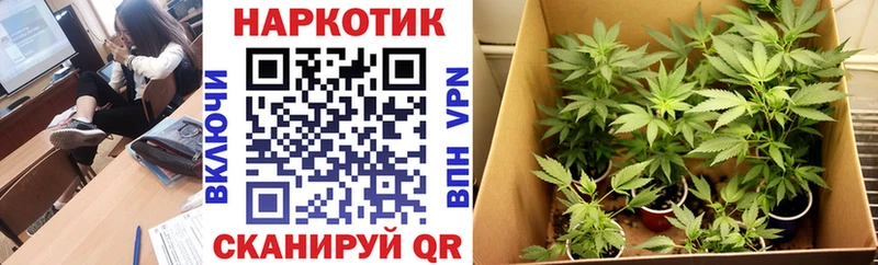NBOMe Бабаево